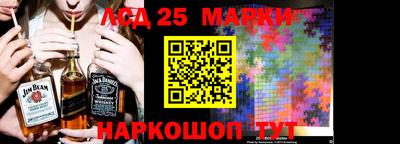 дживик Тара