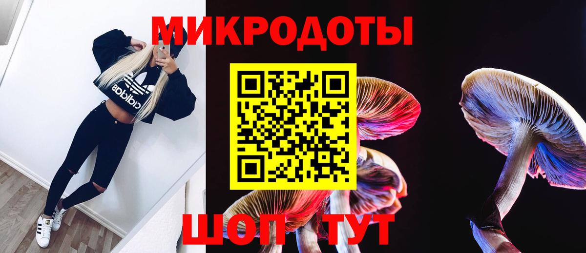Псилоцибиновые грибы GOLDEN TEACHER  продажа наркотиков  Муром  Галлюциногенные грибы Magic Shrooms  Вход с VPN 